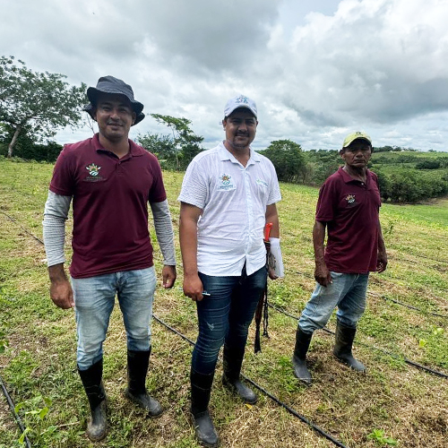 Equipo de Ingenieria